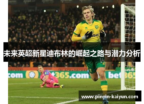 未来英超新星迪布林的崛起之路与潜力分析