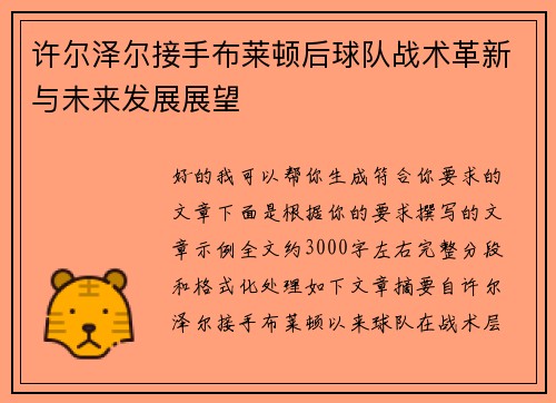 许尔泽尔接手布莱顿后球队战术革新与未来发展展望